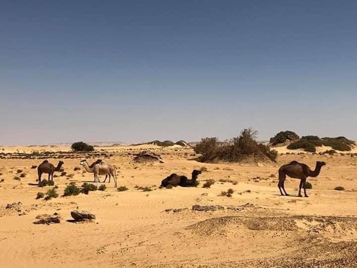 Desert Safari Home Bawati Exterior foto